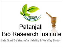Patanjali Bio Research Institute