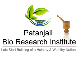 Patanjali Bio Research Institute Patanjali Bio Research Institute